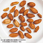 733-ATY756.jpg?1