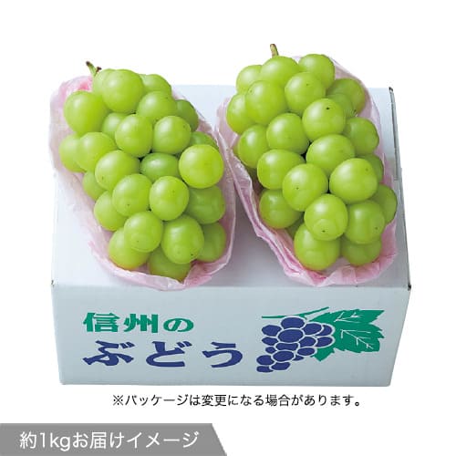 長野県産 ブドウ・シャインマスカット 約1kg（2～3房）×1箱| 種・苗