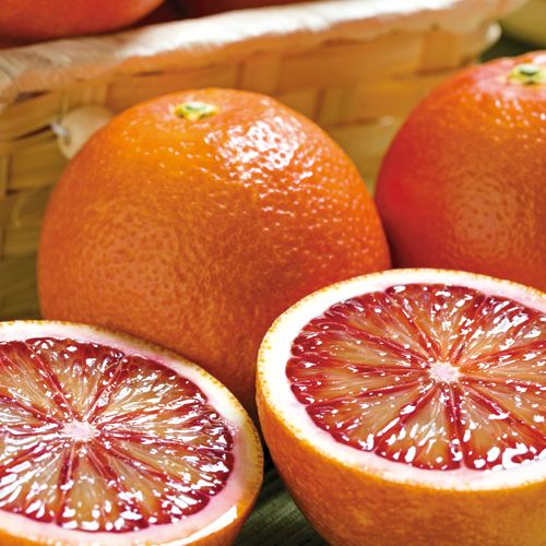 ブラッドオレンジ・モロ| 種・苗・ガーデニング用品の【タキイ