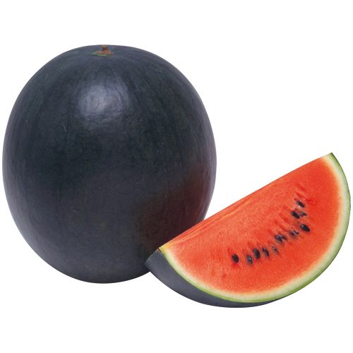 スイカ 黒煌2 種 苗 ガーデニング用品の タキイネット通販