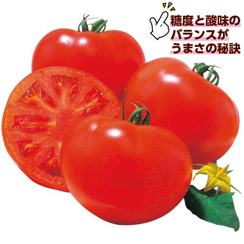 大玉トマト・桃太郎8| 種・苗・ガーデニング用品の【タキイネット通販】