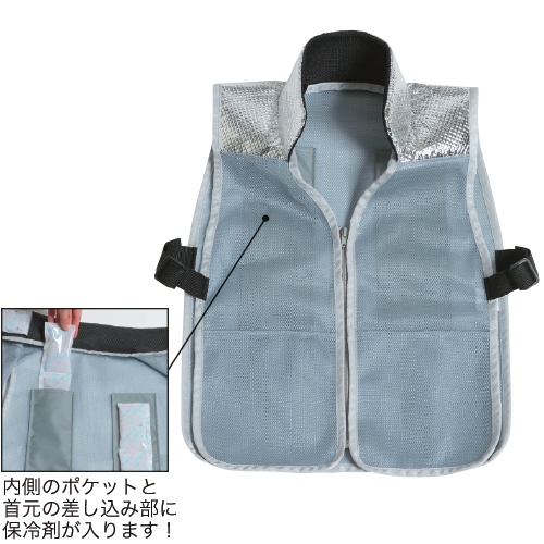 首も背中もひんやりシャーベスト 種 苗 ガーデニング用品の タキイネット通販