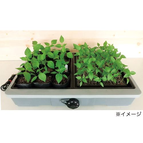 家庭用発芽・育苗器 愛菜花（サーモ内蔵）| 種・苗・ガーデニング用品の【タキイネット通販】