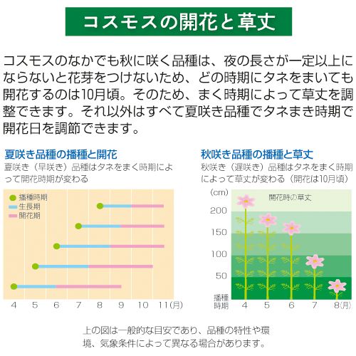 コスモス・ソナタ プレミアム ミックス| 種・苗・ガーデニング用品の