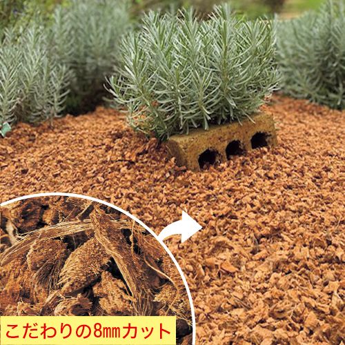 ガーデニング用ヤシの実チップ あく抜きベラボン8m 1袋 60l入 種 苗 ガーデニング用品の タキイネット通販