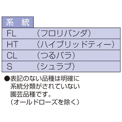 バラ クロッシェ 種 苗 ガーデニング用品の タキイネット通販