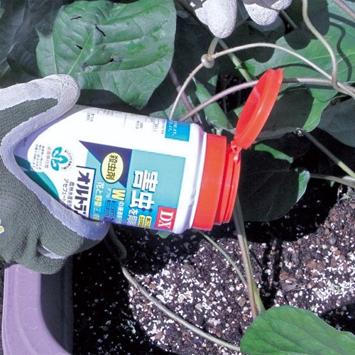 殺虫剤 オルトランdx粒剤 1組 0g 2本 種 苗 ガーデニング用品の タキイネット通販