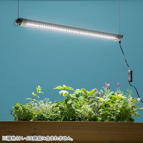 植物育成灯 グリーントラッグ卓上 ブラック LGT-01BK| 種・苗