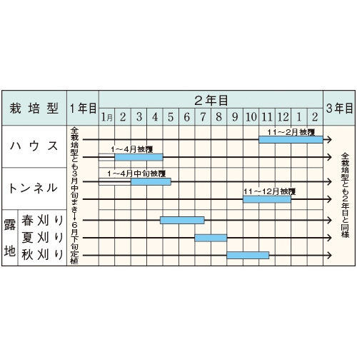 ニラ・広巾にら| 種・苗・ガーデニング用品の【タキイネット通販】