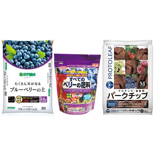 ブルーベリー植替えフルセット 種 苗 ガーデニング用品の タキイネット通販