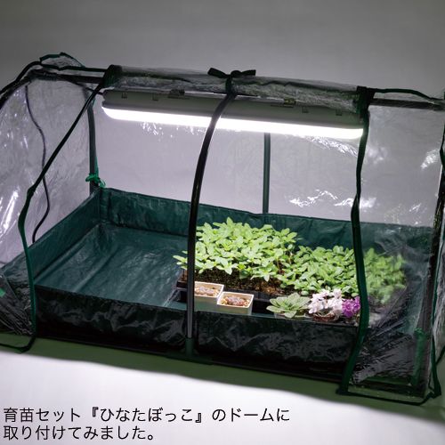 繰り返した キノコ マインド 栽培 蛍光 灯 Verstmole Jp