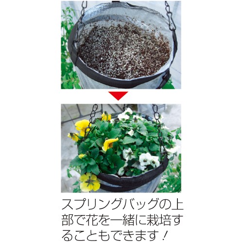 空中栽培セット 1組 4セット入 種 苗 ガーデニング用品の タキイネット通販