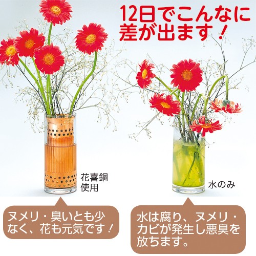 花喜銅 神棚用 2個 種 苗 ガーデニング用品の タキイネット通販