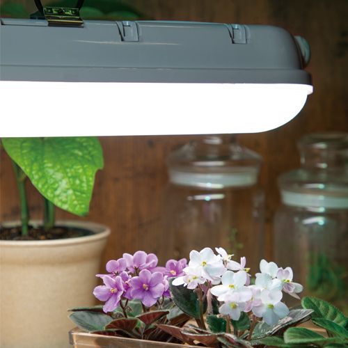 楽天市場】植物育成ライト 昭和精機工業 蛍光灯型植物育成ライト