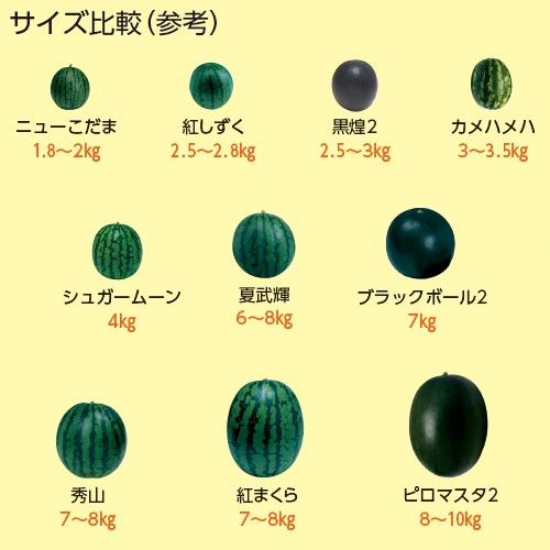 スイカ ニューこだま 種 苗 ガーデニング用品の タキイネット通販