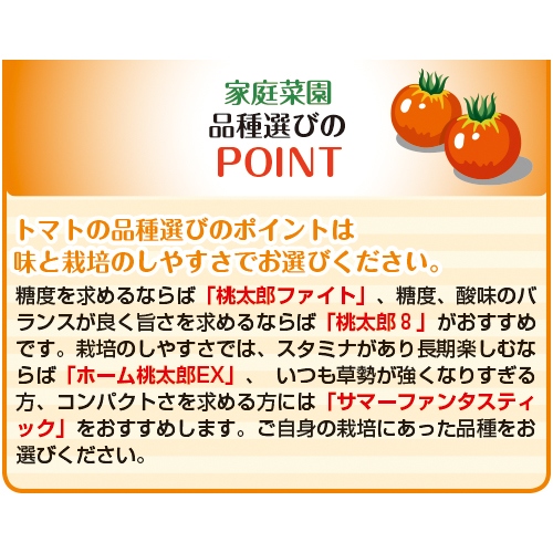 大玉トマト・桃太郎ファイト(R)| 種・苗・ガーデニング用品の【タキイ