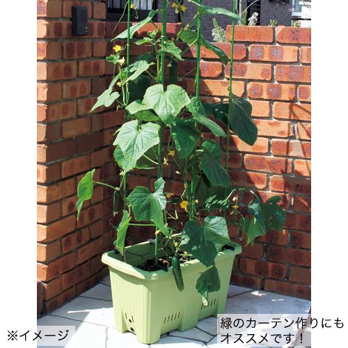 菜園用多機能プランター 培土セット 肥料セット 種 苗 ガーデニング用品の タキイネット通販