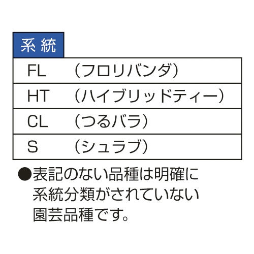 バラ はいから 種 苗 ガーデニング用品の タキイネット通販
