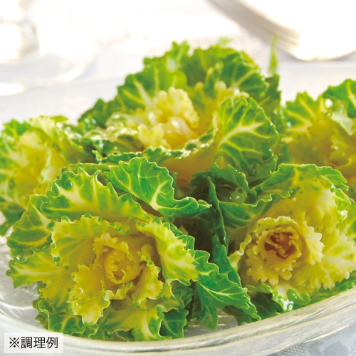 プチヴェール R 2種 セット 平暖地向け 種 苗 ガーデニング用品の タキイネット通販