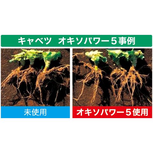 Amazon | オキソパワー5 酸素供給剤 10kg 発根促進 根張り 肥料