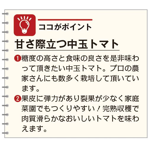 中玉トマト・フルティカ| 種・苗・ガーデニング用品の【タキイネット通販】