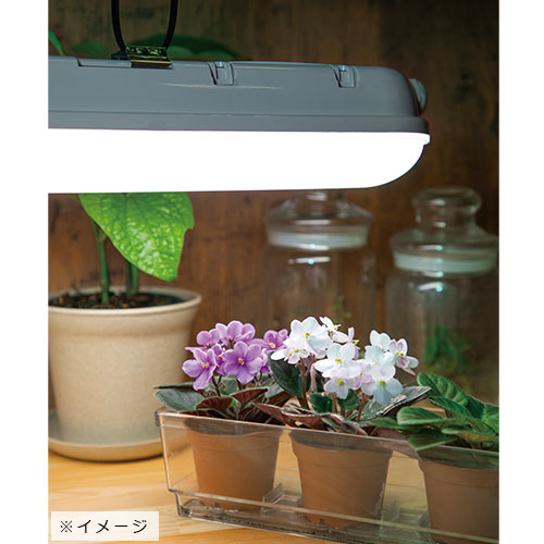 蛍光灯型led植物育成ライト Ky w Sc 種 苗 ガーデニング用品の タキイネット通販