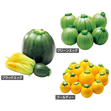 野菜苗セット 種 苗 球根 園芸用品 農業資材の通販サイト タキイネット通販