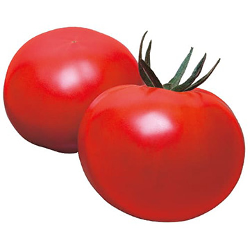 トマトの種・タネ｜タキイネット通販【公式】