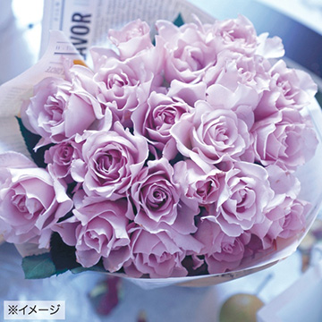 バラ ミスティーパープル 種 苗 ガーデニング用品の タキイネット通販