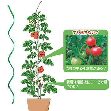 即日発送 外径11 トマポール 支柱 用 トマト 1500mm 個人宅配送不可 代引不可 タ種 タキロンシーアイ カラ 鋼管 50本 支柱 ポール Www Williamsav Com