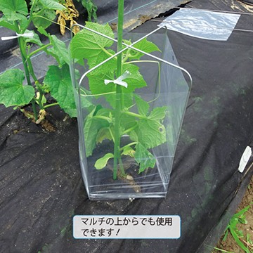 かんたん苗カバーセット 1組 10セット入 種 苗 ガーデニング用品の タキイネット通販