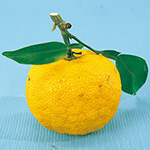 ゆず・すだち・カボス