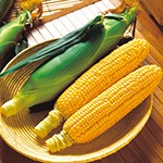 スイ－トコ－ン