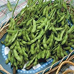 エダマメ