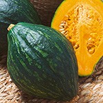 カボチャ