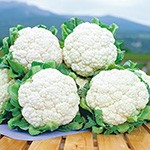 カリフラワー