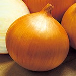 タマネギ