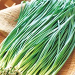 ネギ