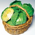 キャベツ
