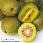 キウイフルーツ