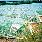 支柱・ネット・誘引用具