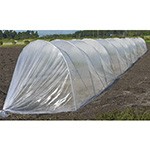 キャップ・トンネル