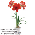 739-QAM958.jpg?1