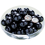 実付❗️12ジャボチカバ　サバラ四季咲　耐寒性フルーツ 実付❗️12ジャボチカバ サバラ四季咲 耐寒性フルーツ