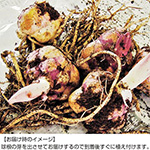759-QYR966.jpg?202609011418