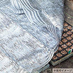 芽出し専用 芽出たいシート 1×100m 1本| 種・苗・ガーデニング用品の