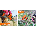 高枝コードレス電動ノコギリ（いち） 楽天市場】高枝のこぎり 電動 充電式 高枝切り コードレス 高枝