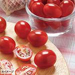 徳島県産 千恋ミニトマト 約600g| 種・苗・ガーデニング用品の