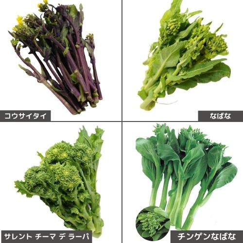 花摘み野菜4種セット| 種・苗・ガーデニング用品の【タキイネット通販】