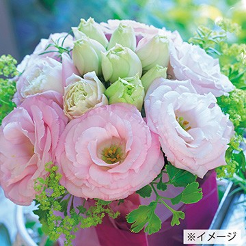 ユーストマ F1パレオ クリアピンク